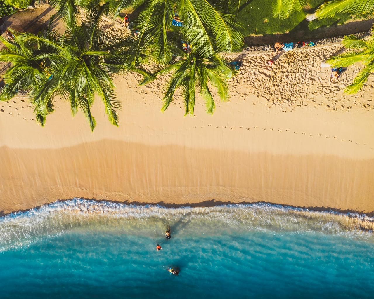 Beach with Palm Trees